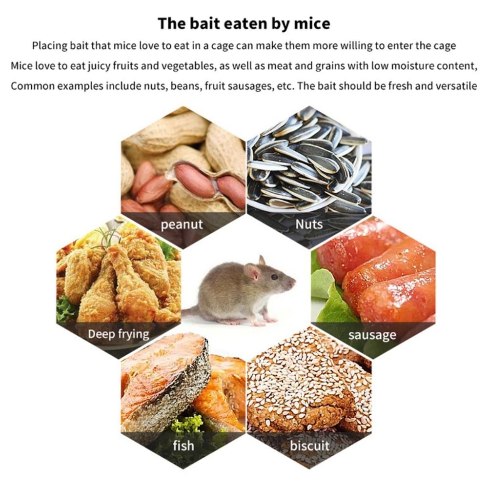 Dayanıklı, İnsancıl, Çoklu Yak - Board Game Quacks incelemesi ve fiyatı