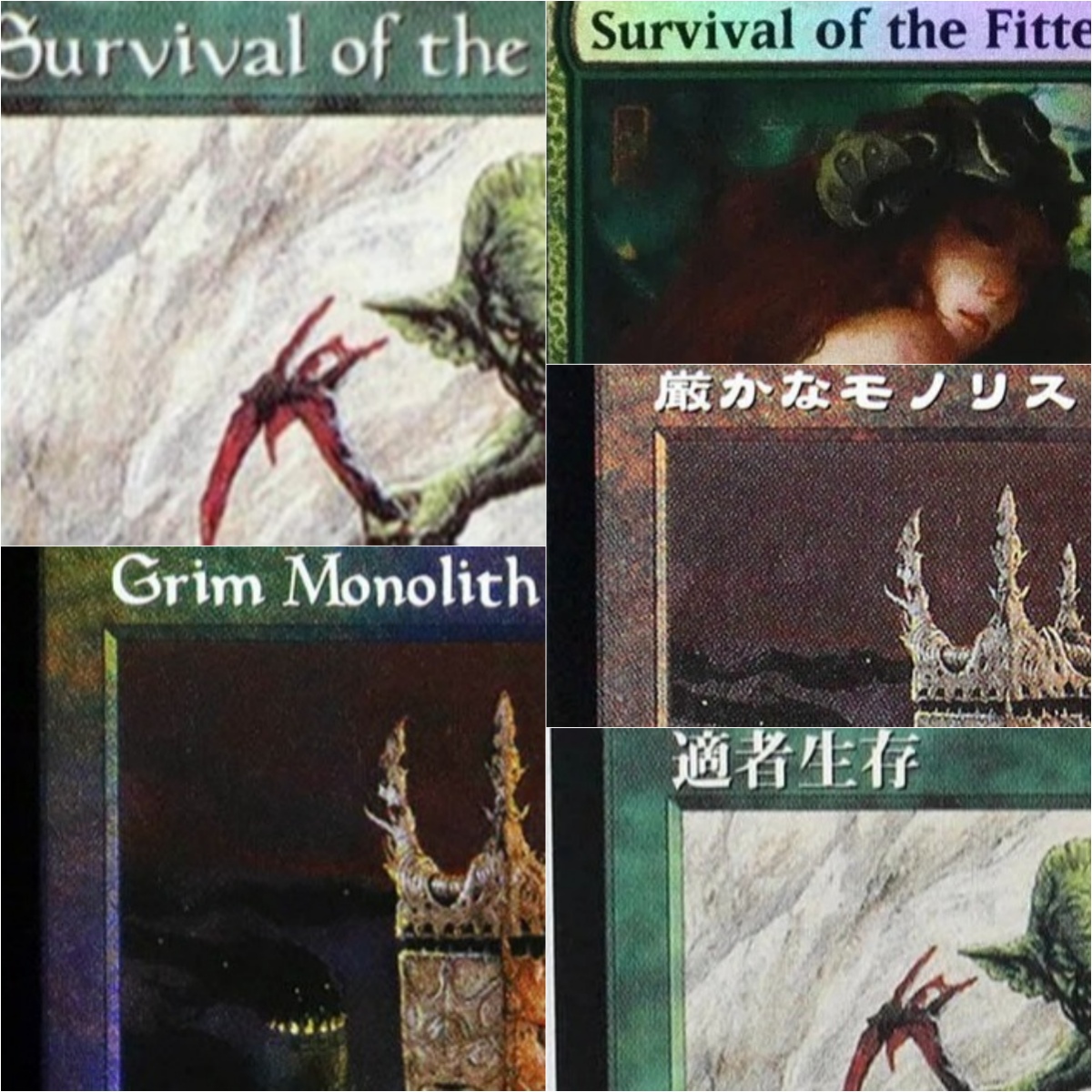 Grim Monolith/Survival of the  - Board Game Survive The Island incelemesi ve fiyatı